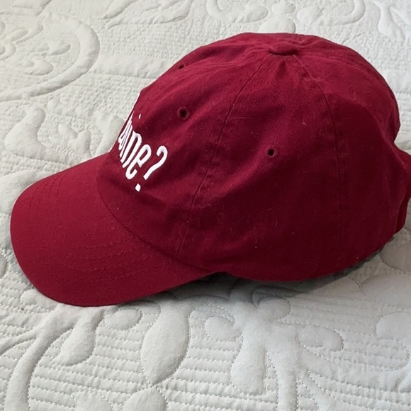 Cabernet 'Got Wine?' Twill Six Panel Adjustable Baseball Cap NWOT - Picture 4 of 7
